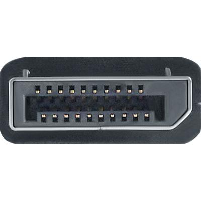 DisplayPort Male to DVI Female TV Cable Adapter